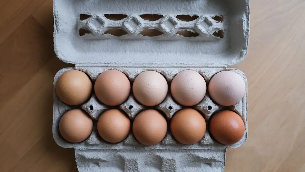 Huevos número 1 y número 2: cuál es la diferencia y qué tipo conviene comprar