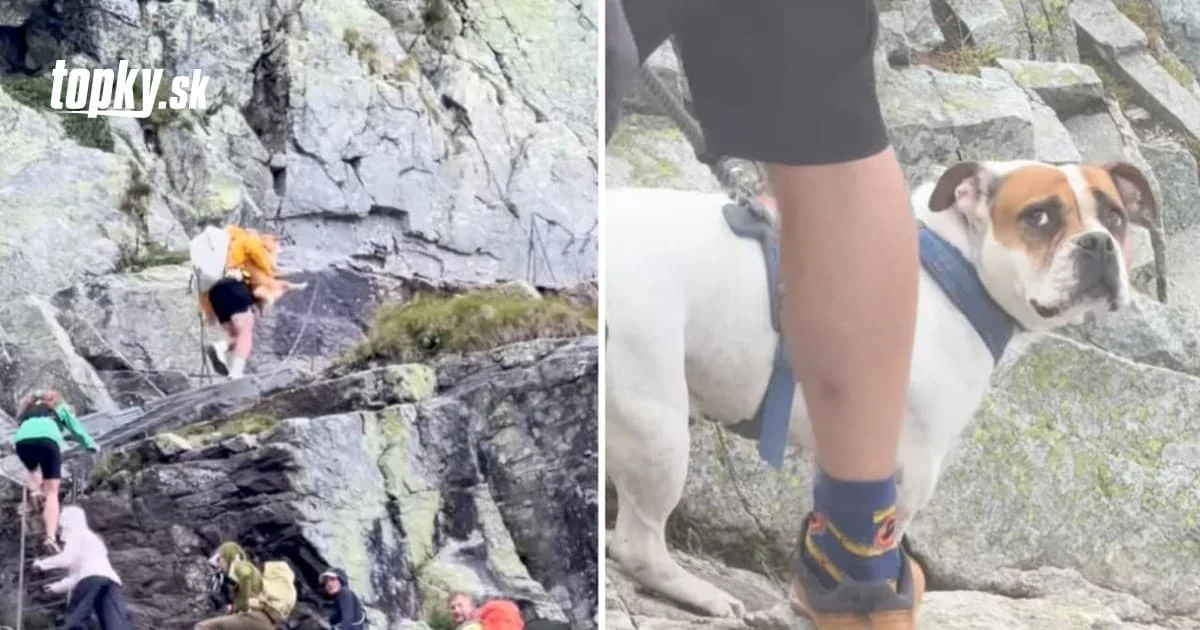 Turisti ignorujú zákaz a ťahajú psy na Rysy. Zvieratá na skalách kňučia od strachu